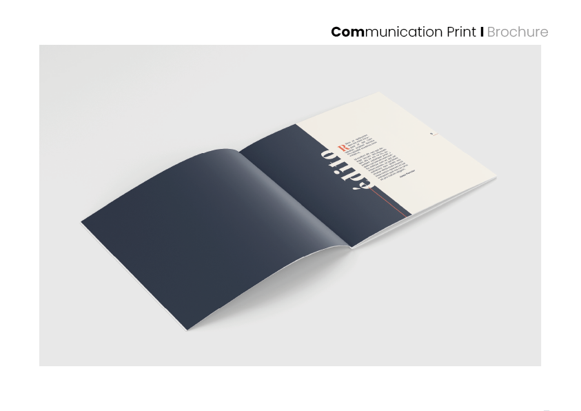 librairie attitude, projet tutoré,brochure mensuelle