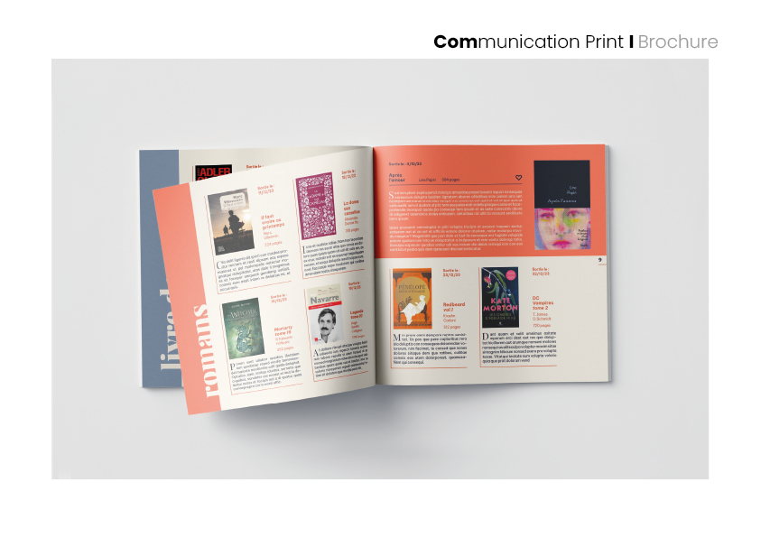 librairie attitude, projet tutoré,brochure mensuelle