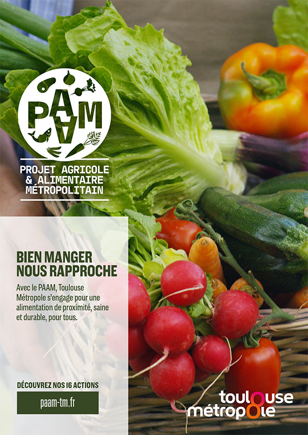 Toulouse métropole, PAAM, affiche axe3