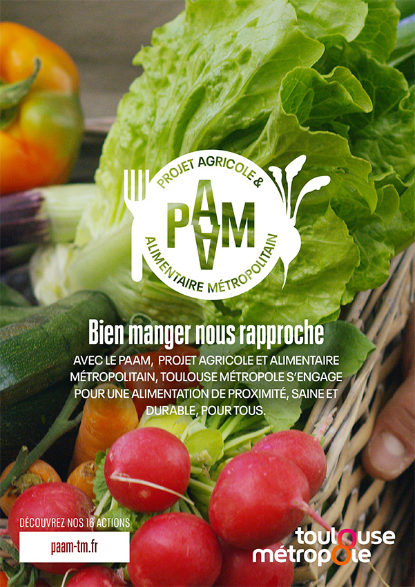 Toulouse métropole, PAAM, affiche axe2